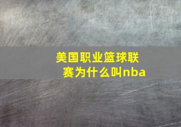 美国职业篮球联赛为什么叫nba