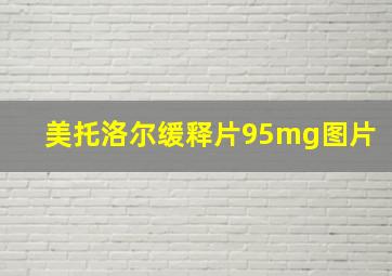 美托洛尔缓释片95mg图片