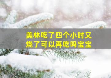 美林吃了四个小时又烧了可以再吃吗宝宝