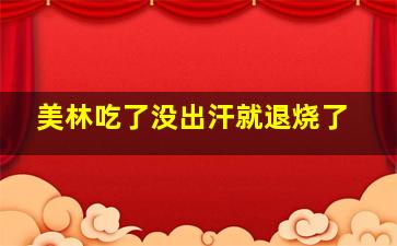 美林吃了没出汗就退烧了