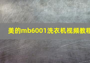 美的mb6001洗衣机视频教程