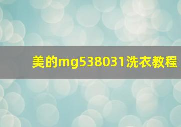 美的mg538031洗衣教程