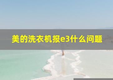 美的洗衣机报e3什么问题