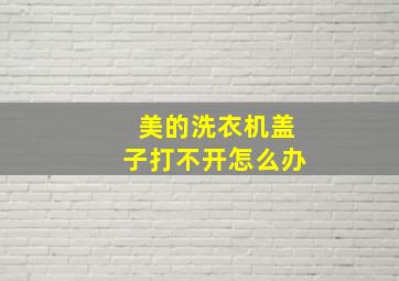 美的洗衣机盖子打不开怎么办