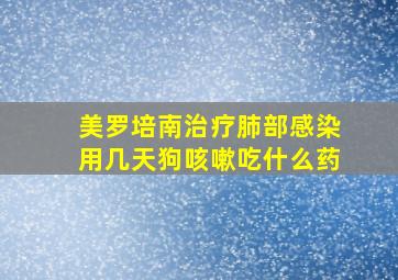 美罗培南治疗肺部感染用几天狗咳嗽吃什么药