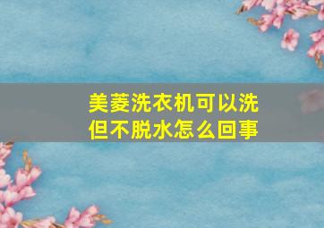 美菱洗衣机可以洗但不脱水怎么回事