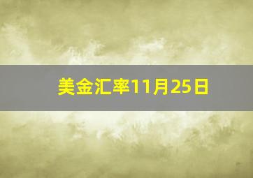 美金汇率11月25日