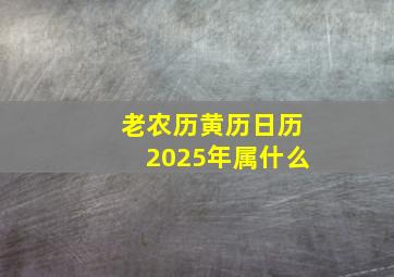 老农历黄历日历2025年属什么