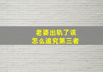 老婆出轨了该怎么追究第三者