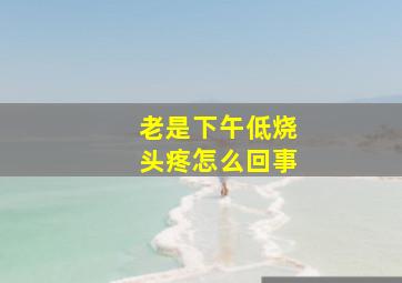 老是下午低烧头疼怎么回事