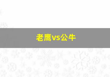 老鹰vs公牛