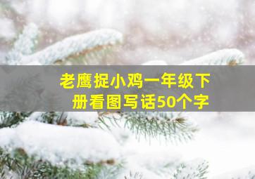 老鹰捉小鸡一年级下册看图写话50个字