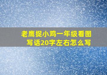 老鹰捉小鸡一年级看图写话20字左右怎么写