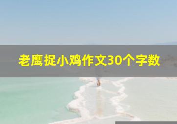 老鹰捉小鸡作文30个字数