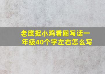 老鹰捉小鸡看图写话一年级40个字左右怎么写