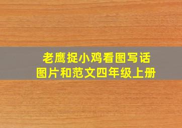 老鹰捉小鸡看图写话图片和范文四年级上册