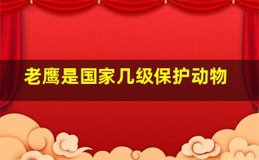 老鹰是国家几级保护动物