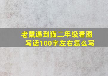 老鼠遇到猫二年级看图写话100字左右怎么写