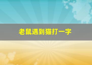 老鼠遇到猫打一字