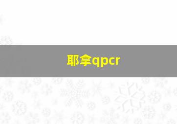 耶拿qpcr