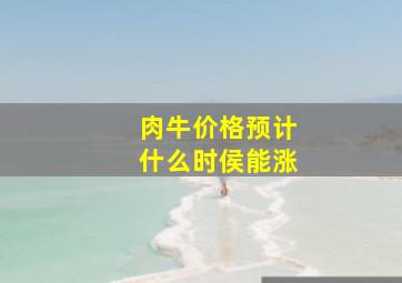 肉牛价格预计什么时侯能涨