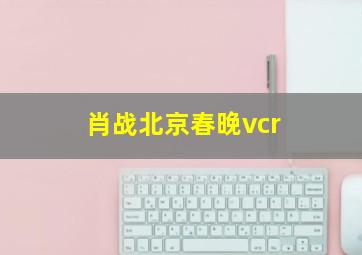 肖战北京春晚vcr