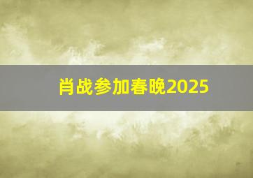 肖战参加春晚2025