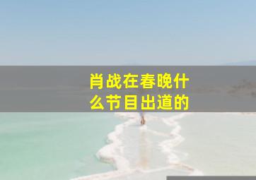 肖战在春晚什么节目出道的