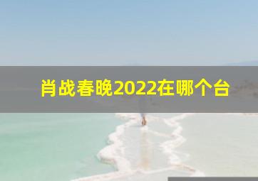 肖战春晚2022在哪个台