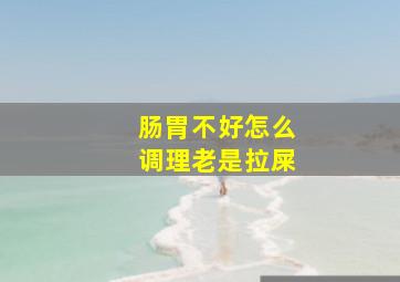 肠胃不好怎么调理老是拉屎