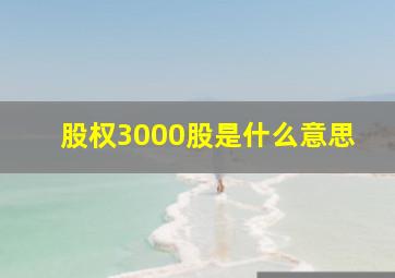 股权3000股是什么意思