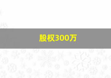 股权300万