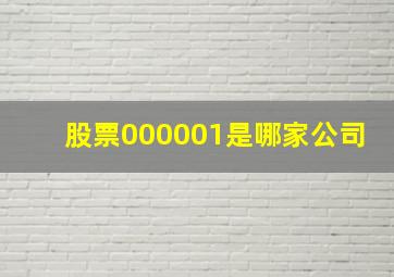 股票000001是哪家公司