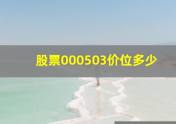 股票000503价位多少