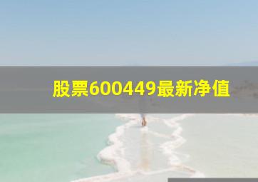 股票600449最新净值