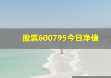 股票600795今日净值