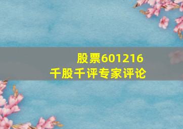 股票601216千股千评专家评论