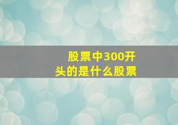 股票中300开头的是什么股票