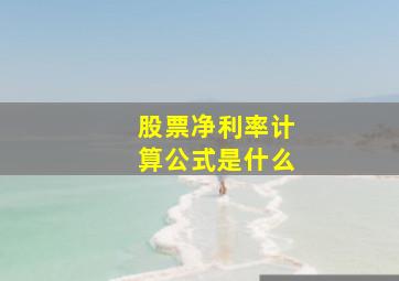 股票净利率计算公式是什么