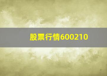 股票行情600210