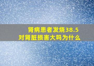 肾病患者发烧38.5对肾脏损害大吗为什么