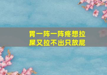 胃一阵一阵疼想拉屎又拉不出只放屁