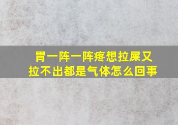 胃一阵一阵疼想拉屎又拉不出都是气体怎么回事