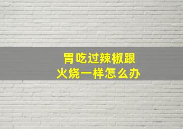 胃吃过辣椒跟火烧一样怎么办