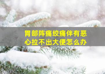 胃部阵痛绞痛伴有恶心拉不出大便怎么办