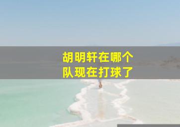 胡明轩在哪个队现在打球了