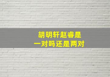 胡明轩赵睿是一对吗还是两对