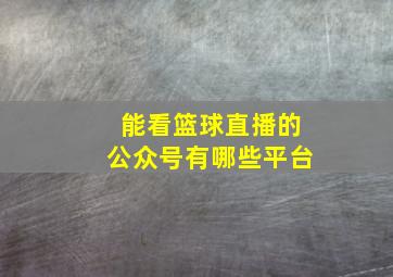 能看篮球直播的公众号有哪些平台