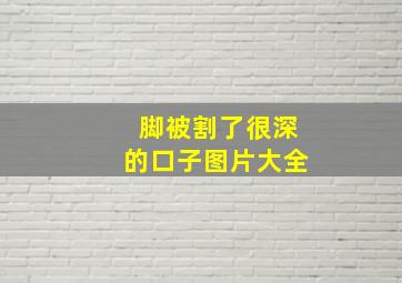 脚被割了很深的口子图片大全