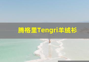 腾格里Tengri羊绒衫